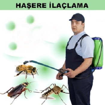Ilgaz Böcek İlaçlama